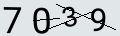 verifycode